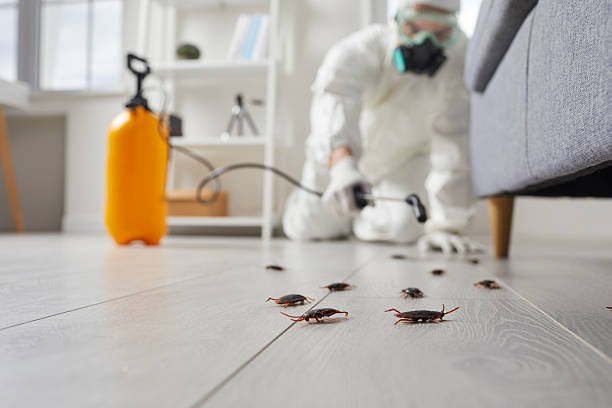 Trusted Fumigation Services service in Benson, UT - Nex Pest Control