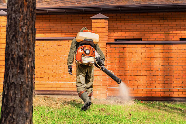 Trusted Bed Bug Control service in Benson, UT - Nex Pest Control